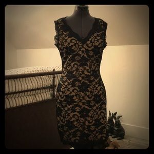Beige and black lace stretch dress. New with tags.